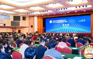 喜报 | 斯米克荣膺2025品牌强国双项重磅荣誉！